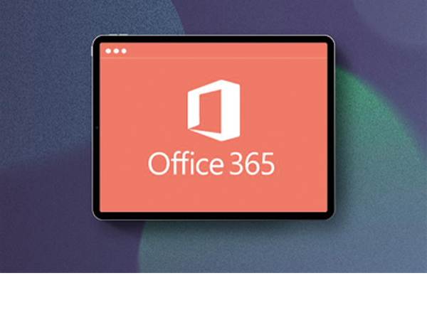 E-Mail und Kalenderfunktionen, Kommunikationsplattform Microsoft Teams, Dokumentenmanagement SharePoint und OneDrive, elektronische Notizbücher OneNote, Aufgabenplanungstool Planner/To Do, Analysen- und Reportingtools.